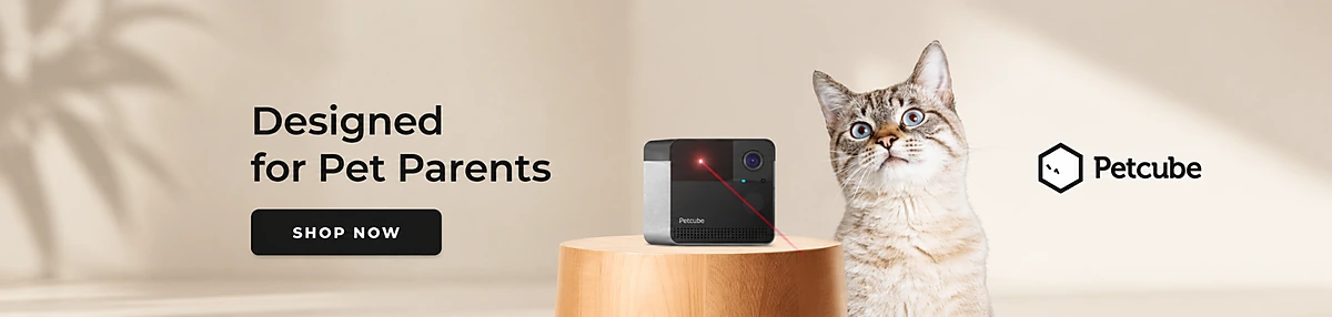 Petcube pet camera (sponsored ad)